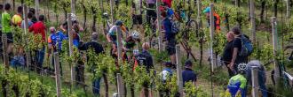 15° Cross Country Tra le Torri